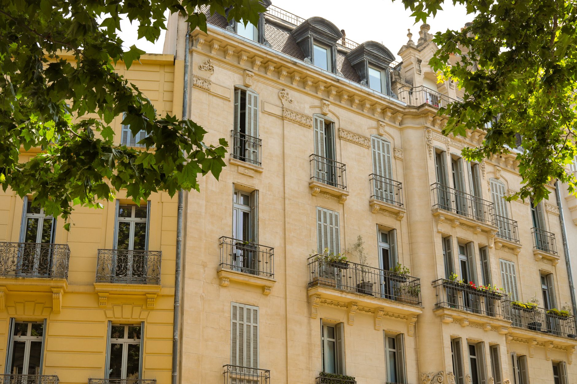 gestion locative Grand Est